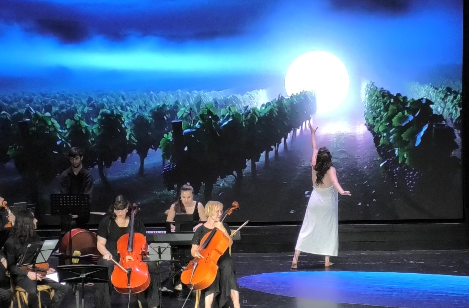 Night Music Concert